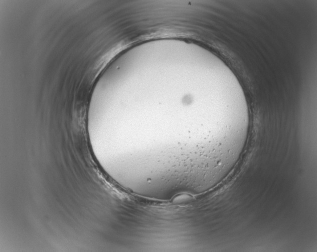 X0000076421185200611031805