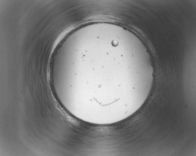 X0000076421188200611031805