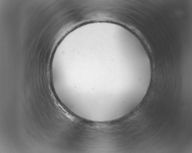 X0000076421191200611031805