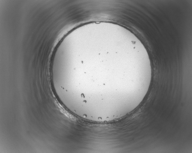 X0000076421192200611031805