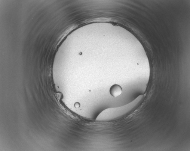 X0000076421193200611031805