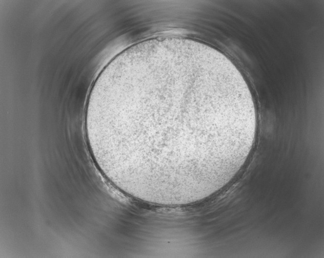 X0000076421194200611031805