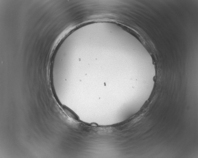 X0000076421196200611031805