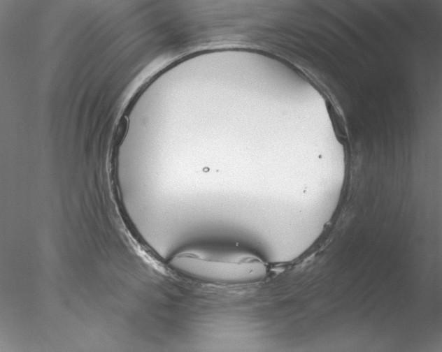 X0000076421197200611031805