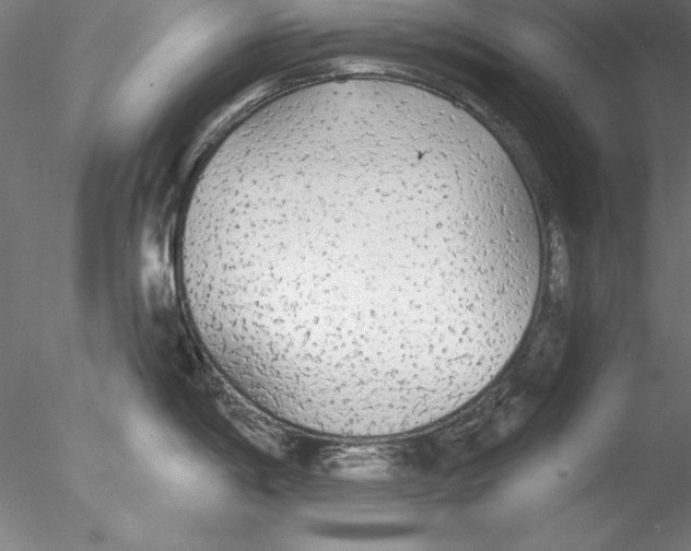 X0000076421198200611031805