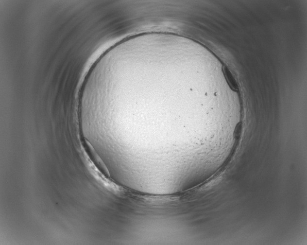 X0000076421200200611031805