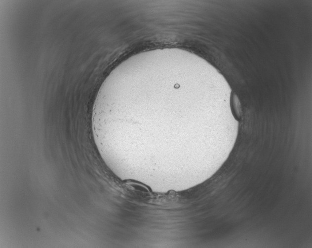 X0000076421201200611031804