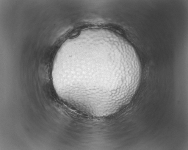 X0000076421205200611031804