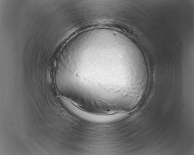 X0000076421209200611031804