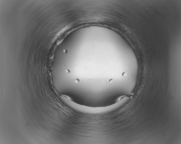 X0000076421210200611031804