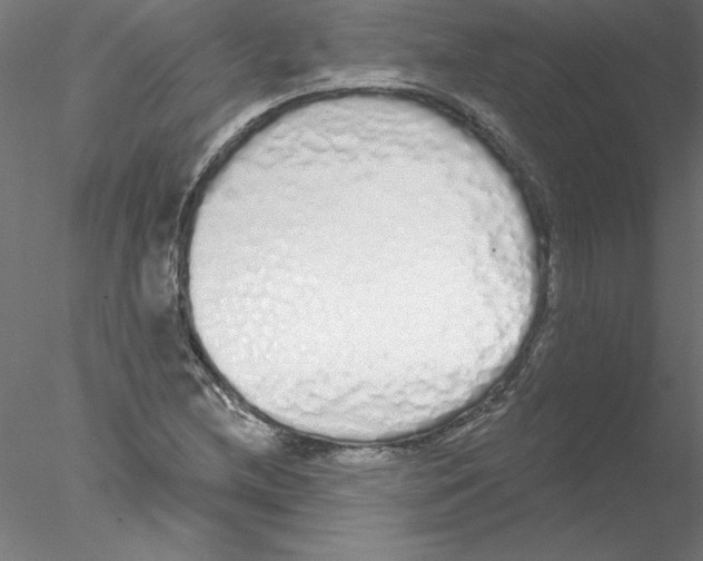 X0000076421212200611031805