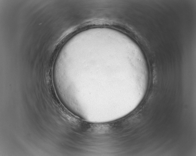 X0000076421213200611031805