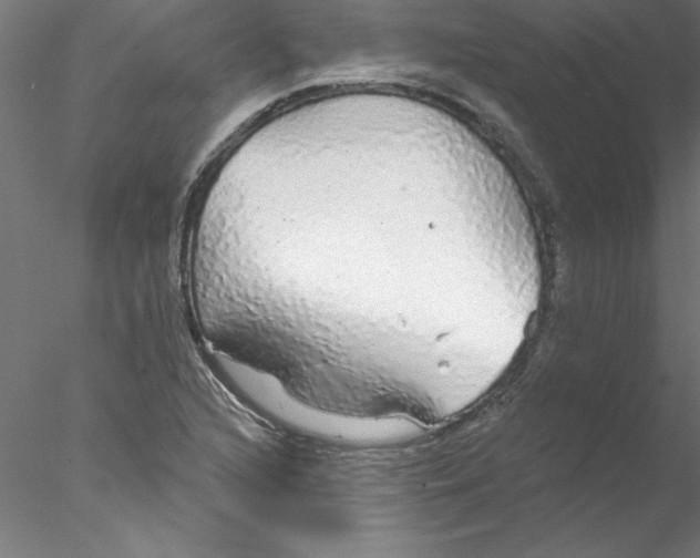 X0000076421216200611031805