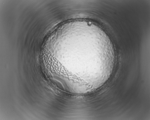 X0000076421217200611031805