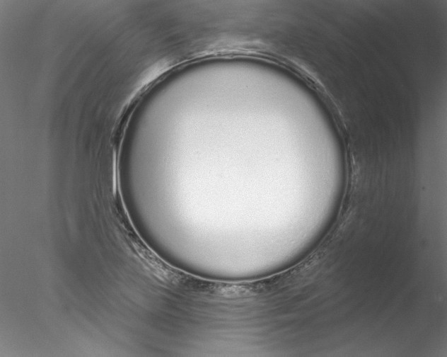 X0000076421219200611031805