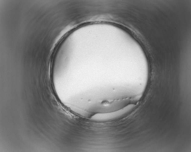 X0000076421224200611031805