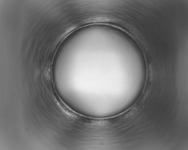 X0000076421225200611031805