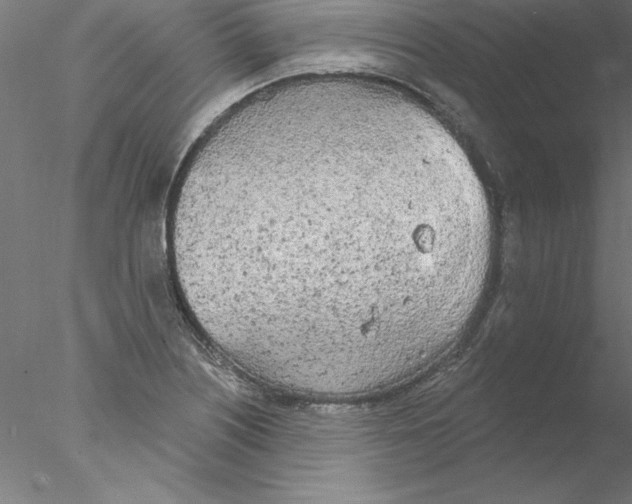 X0000076421226200611031805