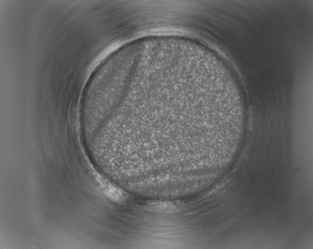 X0000076421229200611031805