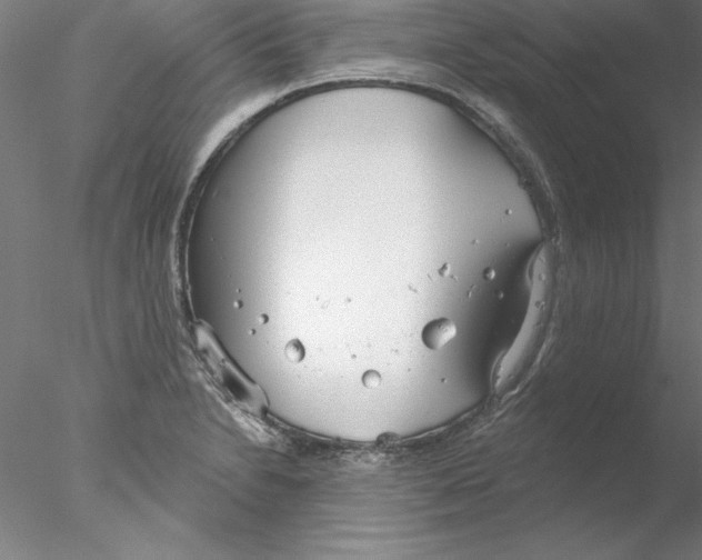 X0000076421230200611031805