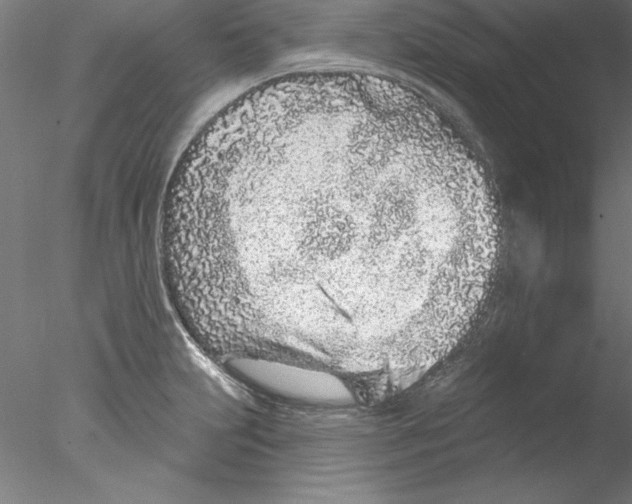 X0000076421231200611031805