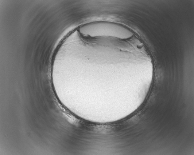 X0000076421232200611031805