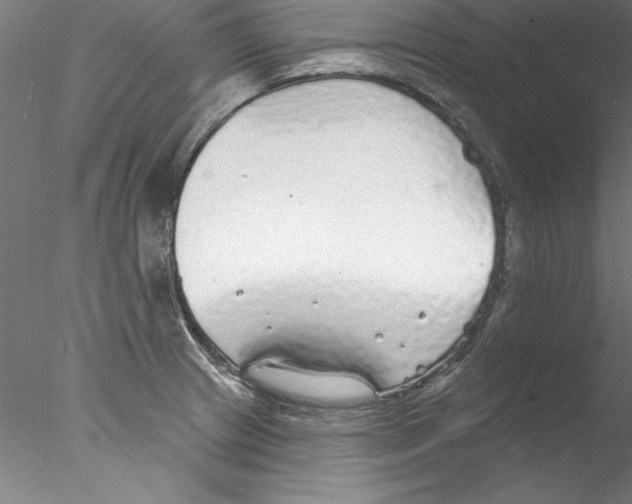 X0000076421233200611031805