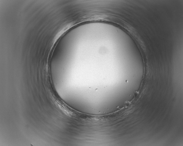 X0000076421234200611031805