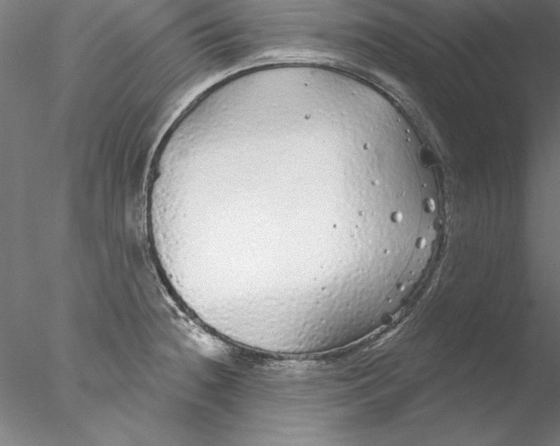 X0000076421236200611031805