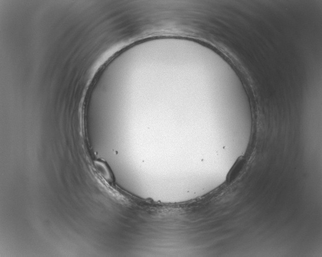 X0000076421238200611031805