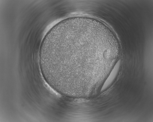 X0000076421239200611031805