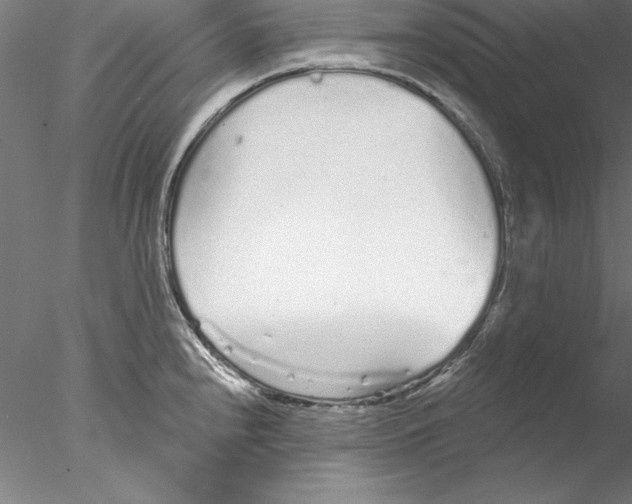 X0000076421240200611031805