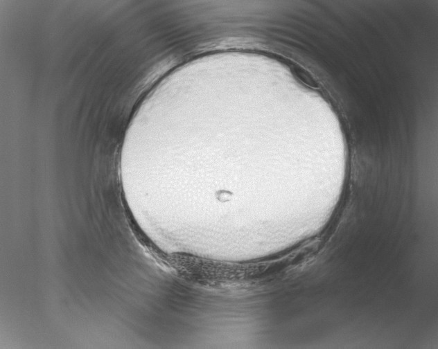 X0000076421241200611031805