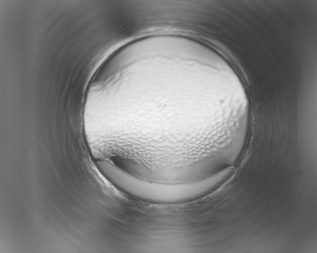 X0000076421244200611031805