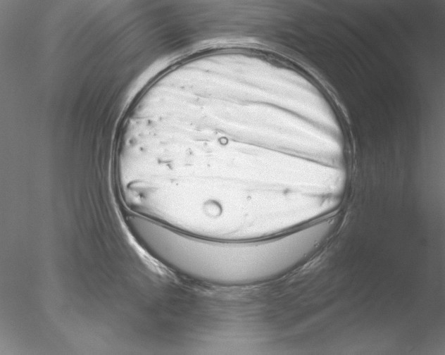 X0000076421245200611031805