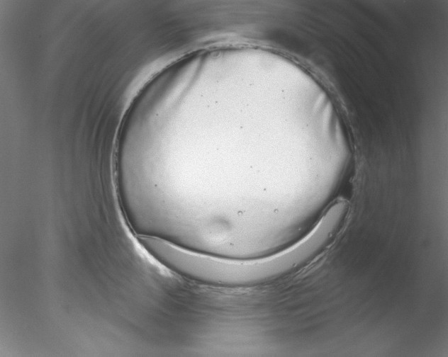 X0000076421247200611031805