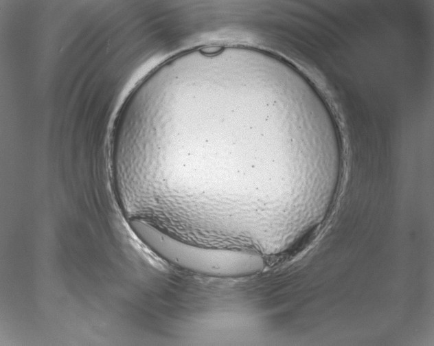 X0000076421248200611031805