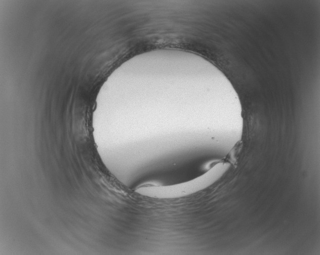 X0000076421250200611031804