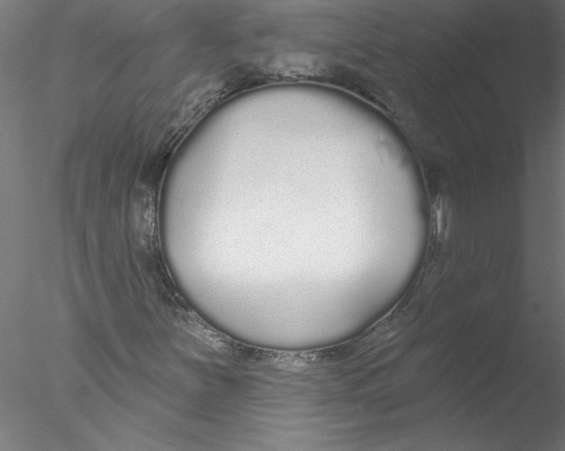 X0000076421251200611031804