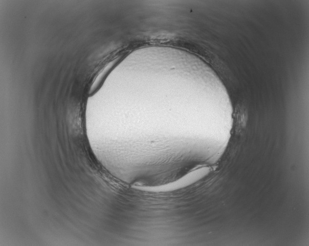 X0000076421252200611031804