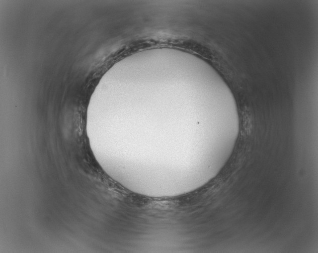 X0000076421253200611031804