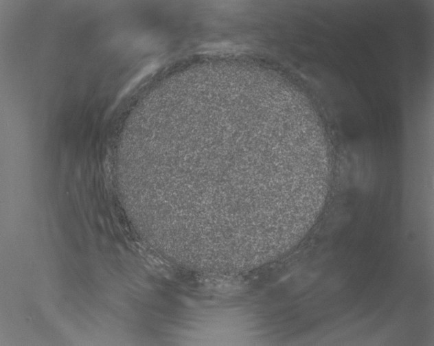 X0000076421254200611031804