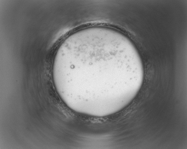 X0000076421255200611031804