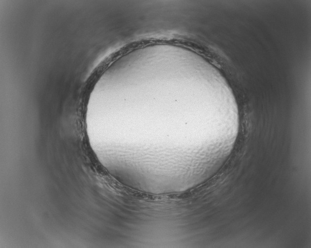 X0000076421256200611031804