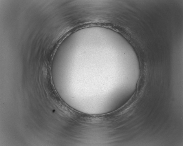 X0000076421257200611031804