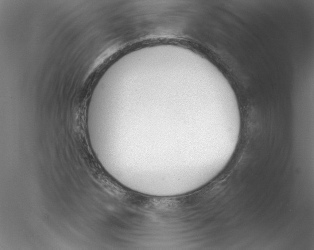 X0000076421258200611031804