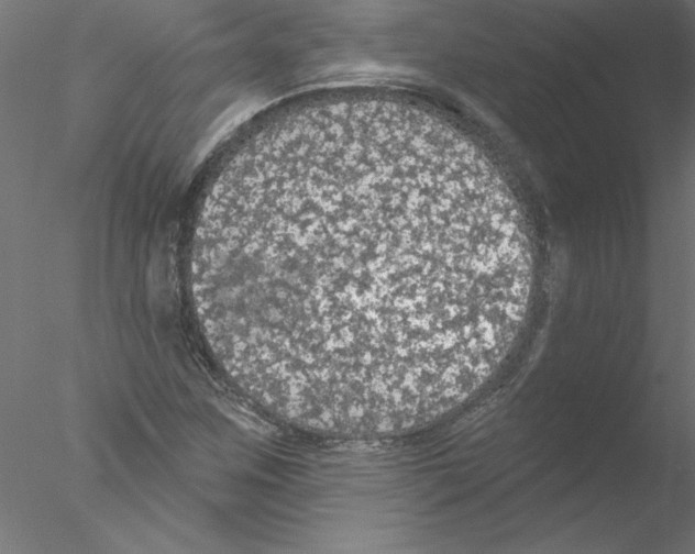 X0000076421259200611031804