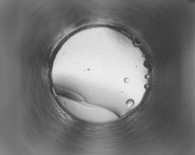 X0000076421260200611031804