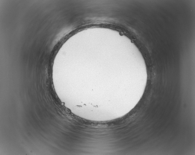 X0000076421261200611031804