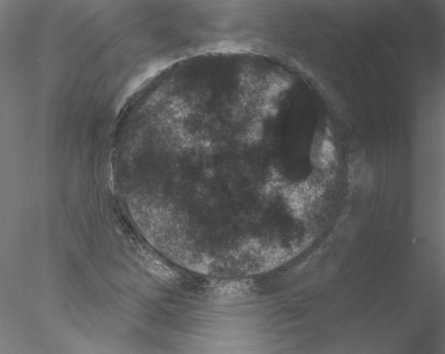 X0000076421262200611031804